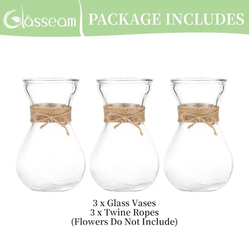 Vista 6 de Glasseam Jarrón de cristal transparente para flores, juego de 3 jarrones de bombilla para forzar bulbos de jacinto, pequeños jarrones decorativos