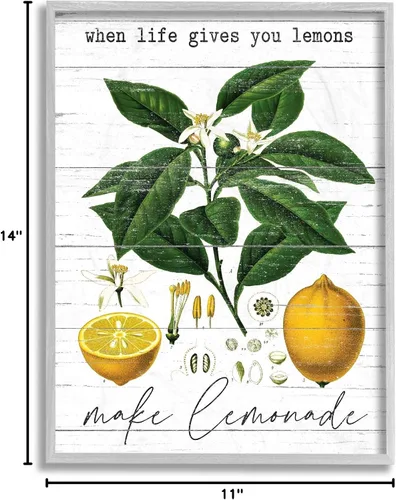 Vista 7 de Stupell Industries Life Gives Lemons Quote Country Fruit Anatomy, diseño de arte de pared enmarcado en gris con letras y líneas, 11 x 14, blanco