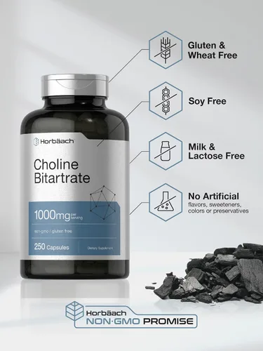 Vista 4 de Horbaach Suplemento de bitartrato de colina 1000 mg 250 cápsulas Alta potencia Sin OMG, sin gluten