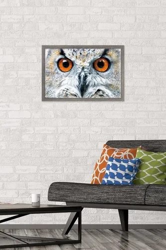 Vista 2 de Trends International Póster de pared con diseño de búho cerrado, 14.6 x 22.4 in, versión enmarcada de madera de granero Versión enmarcada Barnwood
