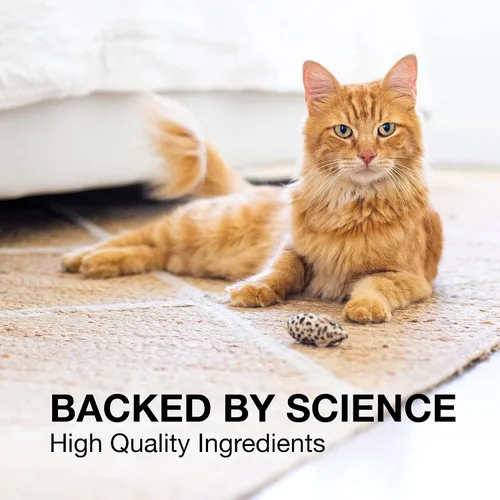 Vista 5 de Nutramax Denosyl para perros pequeños y gatos Brain & Liver Support Supplement for Cats and Dogs Up to 12 lbs, with S-Adenosylmethionine (SAMe)