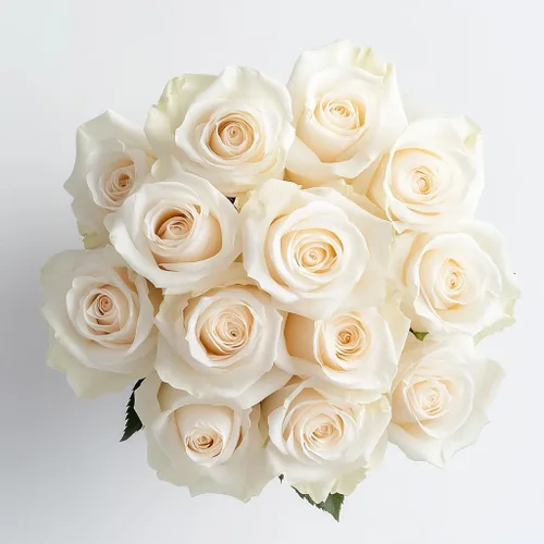 Vista 28 de GlobalRose Ramo de 50 rosas surtidas, rosas de origen responsable, flores frescas, ramo fresco de flores seleccionadas a mano para el día