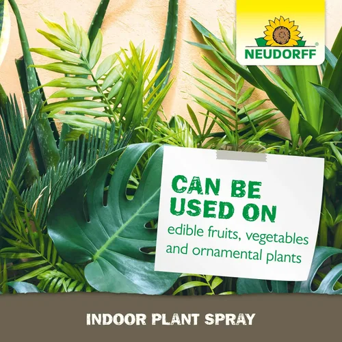 Vista 6 de Neudorff Spray para Plantas de Interior y de Invernadero, Mata Ácaros Araña, Cochinillas y Más de 100 Insectos Listados al Contacto para Jardinería