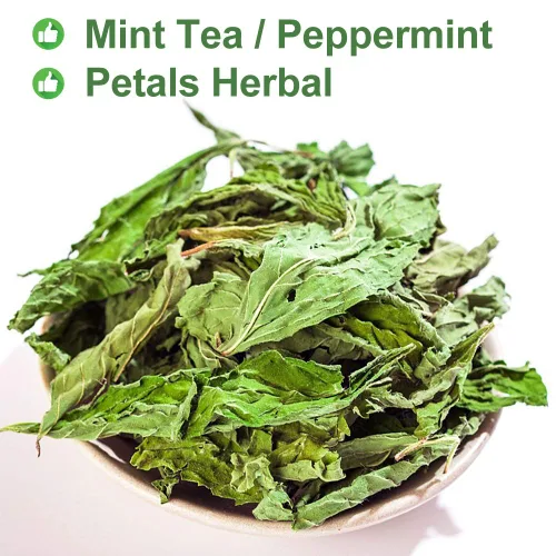 Vista 4 de Plant Gift Té 100% menta, té de menta, hojas de menta, té saludable, bolsas de té de menta orgánica, flor saludable, té de menta 0.7 onzas