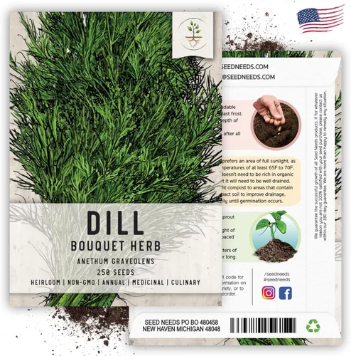 Vista 6 de Seed Needs Semillas de eneldo para plantar ramo de hierbas, semillas de hierbas sin OMG y sin tratar para plantar un jardín cultivado en casa