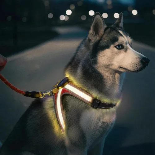 Vista 5 de Arnés reflectante con correa para perro con iluminación LED, chaleco de seguridad iluminado para perro