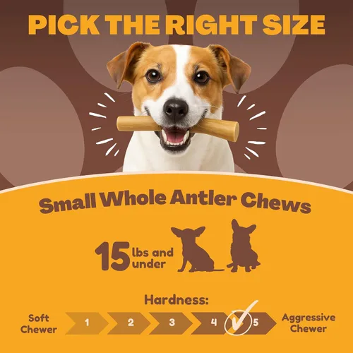 Vista 4 de WhiteTail Naturals - Cuernos de ciervo para perros pequeños (paquete de 12) cuernos masticables naturales para cachorros y pequeños masticadores