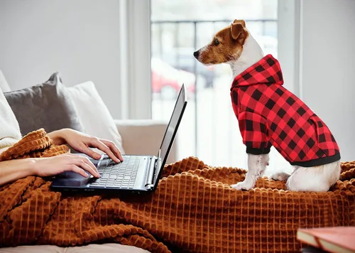 Vista 6 de Suéter para perro, ropa para mascotas a cuadros de búfalo rojo, cálido y suave, transpirable, acogedor con capucha para mascotas pequeñas, suéteres