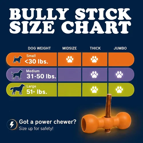 Vista 3 de Bow Wow Labs SafeFit™ Bully Sticks para perros, palitos de carne de res 100% naturales, alimentados con pasto, de bajo olor, masticables de larga