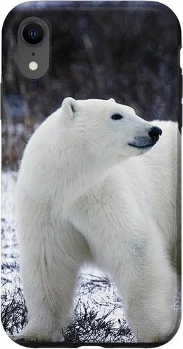 Vista 25 de Polar Bears Animal Nature Case for iPhone 17