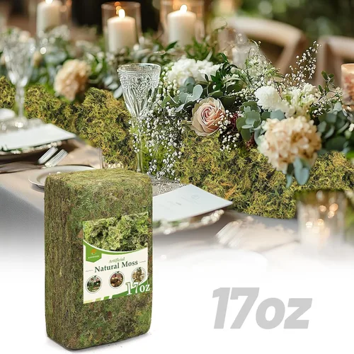 Vista 8 de Musgo verde natural de 10 onzas para principiantes, musgo de inicio para plantas de interior, jardines de hadas artificiales, mini mosswall
