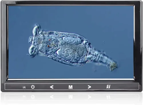 Vista 3 de 7" pantalla LCD de 5MP para tamaño de montaje del microscopio trinocular 76.1 ft m