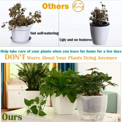 Vista 8 de Paquete de 3 macetas transparentes de riego automático de 7 pulgadas para plantas de interior, macetas grandes de violeta africana, macetas