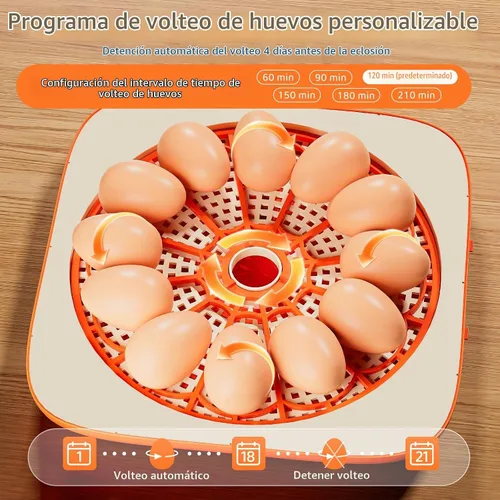 Vista 4 de Incubadoras para incubar huevos Incubadora automática de huevos con control de temperatura y pantalla de humedad, capacidad de 12 huevos para pollo