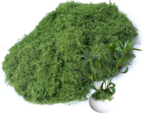 Vista 11 de Planta artificial de musgo artificial de musgo floral verde de 5.3 onzas para manualidades, manualidades de hadas, jarrón, florero, decoración de A