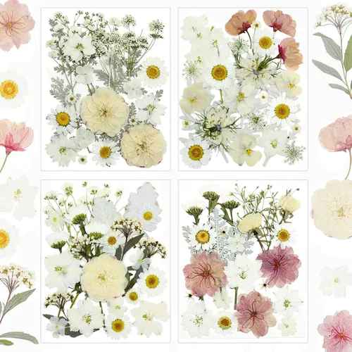 Vista 13 de Kit de 140 hojas de flores secas prensadas para moldes de resina y Blanco Amarillo 140pcs