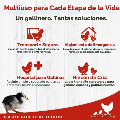 Vista 7 de RentACoop Big Red Barn Chick Brooder