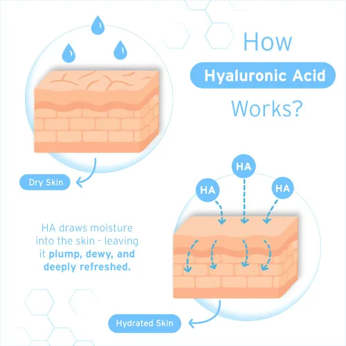 Vista 3 de Hyalogic Episilk Pure HA - Suero facial con ácido hialurónico hidratante, cuidado de la piel hidratante para suavizar e hidratar la piel, no graso