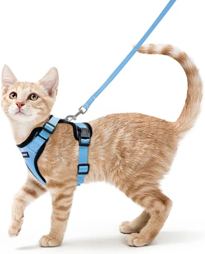 Vista 113 de rabbitgoo Cat Harness and Leash Set, Escape Proof Vest, Berry Pounce
