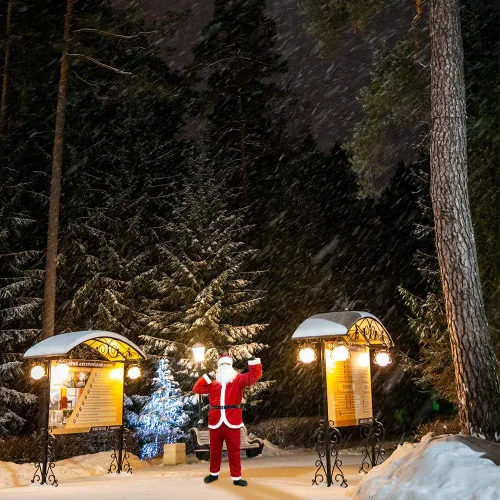 Vista 7 de Traje de Papá Noel, disfraz clásico de franela de terciopelo de Navidad para hombre