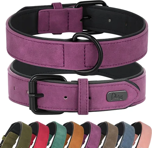 Vista 13 de Didog Collar de Perro de Cuero PU Suave Acolchado, Transpirable y Ajustable Collares para Perros Pequeños, Cómodo para Caminata Diaria, Azul, M
