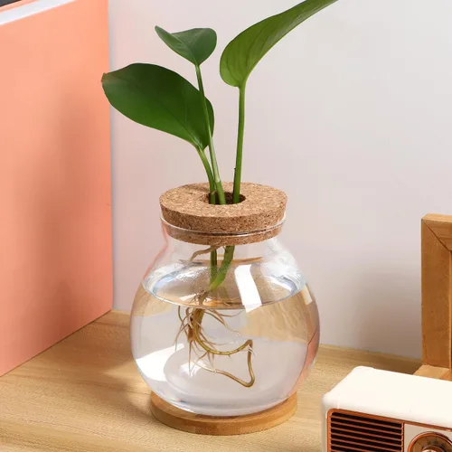 Vista 2 de Balacoo Pescadera hidropónica de escritorio, pecera de vidrio transparente con cojín de bambú y tapa de madera, pequeñas plantas de peces betta