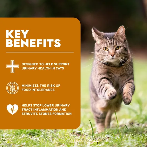 Vista 4 de Forza10 - Alimento para gatos, alimento para gatos de ingredientes limitados para la salud urinaria y apoyo de las infecciones urinarias, sin OMG