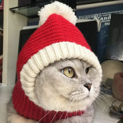 Vista 5 de POPETPOP Sombrero de Navidad para perro, cálido gorro de invierno para cachorros, grueso, pequeño, de punto, para gato, Navidad, diadema, ropa