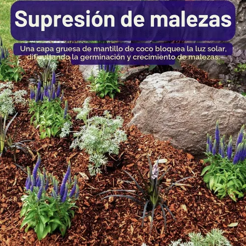 Vista 4 de SuperMoss (23261) Coco Mulch, 200 in3, marrón natural