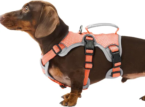 Vista 10 de Huntboo - Arnés para perro a prueba de escape, arnés reflectante con asa, duradero, chaleco ajustable para perros pequeños, medianos y grandes