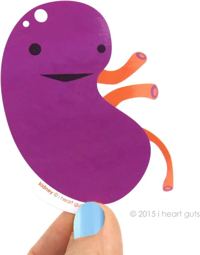 Vista 2 de I Heart Guts Comparte tus riñones pegatinas – Paquete de 15 calcomanías de vinilo para la conciencia de la enfermedad renal, guerreros