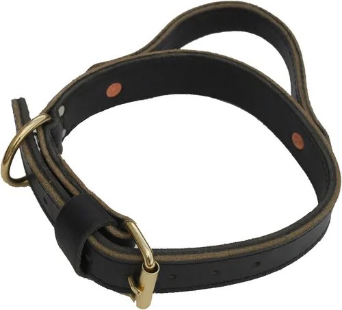 Vista 2 de Ray Allen Mfg Signature K9 Collar de agitación de 1-1/2 pulgadas, color negro