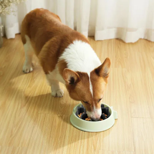 Vista 5 de Rompecabezas antiasfixia de silicona suave para perros, compatible con cuencos elevados regulares para perros