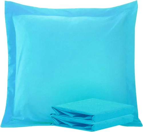 Vista 53 de NTBAY Fundas de almohada estándar, paquete de 2 fundas de almohada de microfibra cepillada de 20 x 26 pulgadas, súper suaves y acogedoras