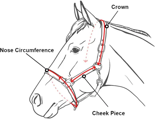 Vista 2 de Caballo completo Caballo Nylon Halter con correa Removalbe 7' (rosa)