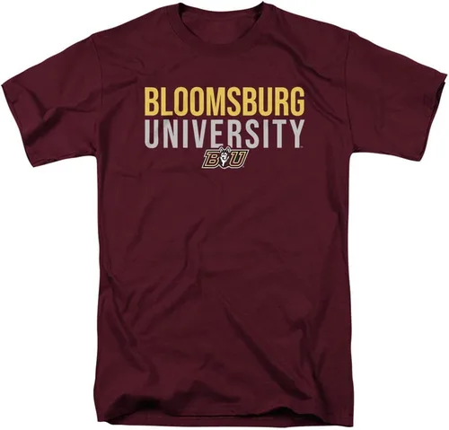 Vista 30 de Colección de camisetas para adultos apiladas colegiales 1 Universidad Estatal de Albany