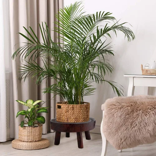 Vista 2 de Taburete de madera para plantas, soporte bajo para plantas, soporte redondo para macetas elevadoras, soportes para múltiples plantas, soporte Marrón