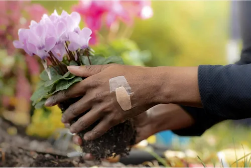 Vista 10 de Apósitos transparentes impermeables, de Nexcare, 1, 1