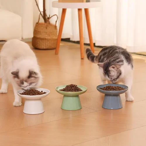 Vista 7 de Cuenco elevado de cerámica extra ancho de 6.1 pulgadas para comida de gato, comedero elevado poco profundo para mascotas para alimentación, cuencos