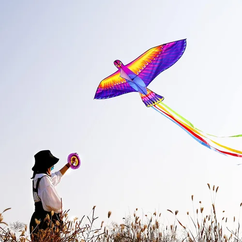 Vista 5 de Mint’s Colorful Life Large Kite for Kids and Adults, Easy to Fly Single Line Beach Kites, Comes with 300ft String Handle