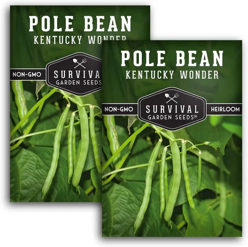 Vista 10 de Semilla de judía polera Kentucky Wonder para plantar - 1 paquete con instrucciones para plantar y cultivar judías verdes en tu jardín de hortalizas