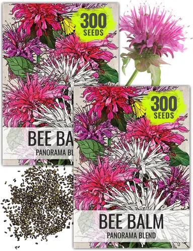 Vista 11 de Seed Needs Semillas de limón y menta para plantar hierbas anuales sin OMG, 1 paquete