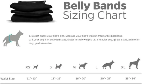 Vista 6 de Pet Parents - Bandas abdominales y extensores lavables prémium para perros machos - Pañales para perros machos - Paquete de 3 - Color: negro