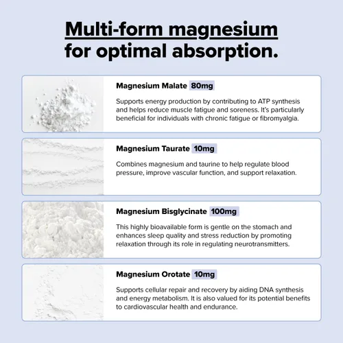 Vista 4 de COMPLEMENT Magnesio - Complejo de 4 formas biodisponibles - Malato, Taurato, Bisglicinato, Orotate - Suplemento para relajación, recuperación