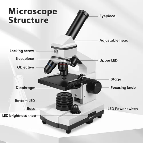 Vista 5 de Microscopio para adultos profesionales: microscopio compuesto para niños de 8 a 12 años, kit de microscopio para niños de 100X-2000X