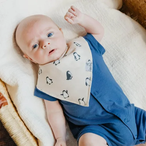 Vista 4 de Copper Pearl Baberos para bebé, paquete de 4, baberos estampados tipo bandana para bebé niña y niño, baberos de algodón suave para la dentición
