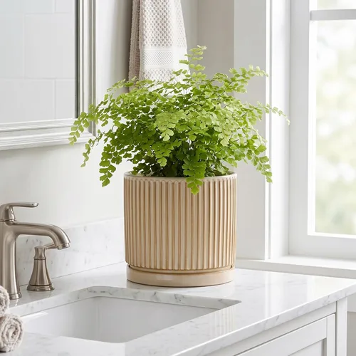 Vista 7 de 8 Inch Flower Pot, Ceramic Planters, Round Plant Pot, Beige