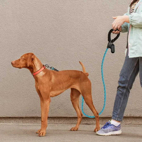Vista 7 de Correa de perro resistente para perros de raza grande, mediana y pequeña, correa de perro reflectante con asa cómoda, correas de cuerda