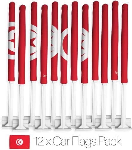 Vista 44 de Paquete de bandera de coche de la Copa del Mundo 2022 de Gales, bandera americana para carros, decoración de automóviles, pancarta pequeña