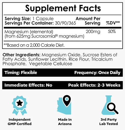 Vista 2 de Nootropics Depot MicroMag - Cápsulas de magnesio 625 mg 30 unidades Contiene 200 mg de magnesio elemental